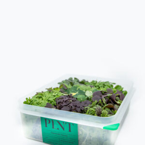 PLNT BOX - leafy greens combo