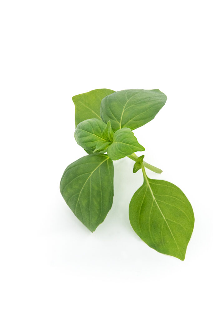 lemn basil