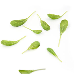 Mosterdblad - Red Lion