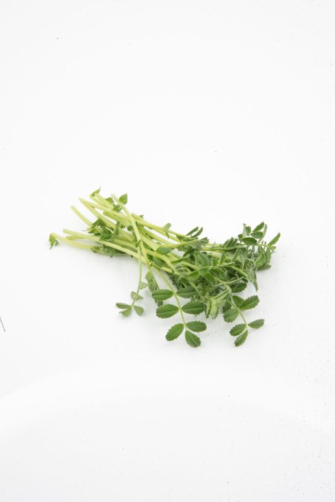 chikpea shoots