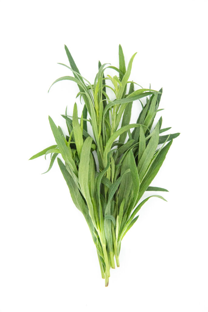 tarragon