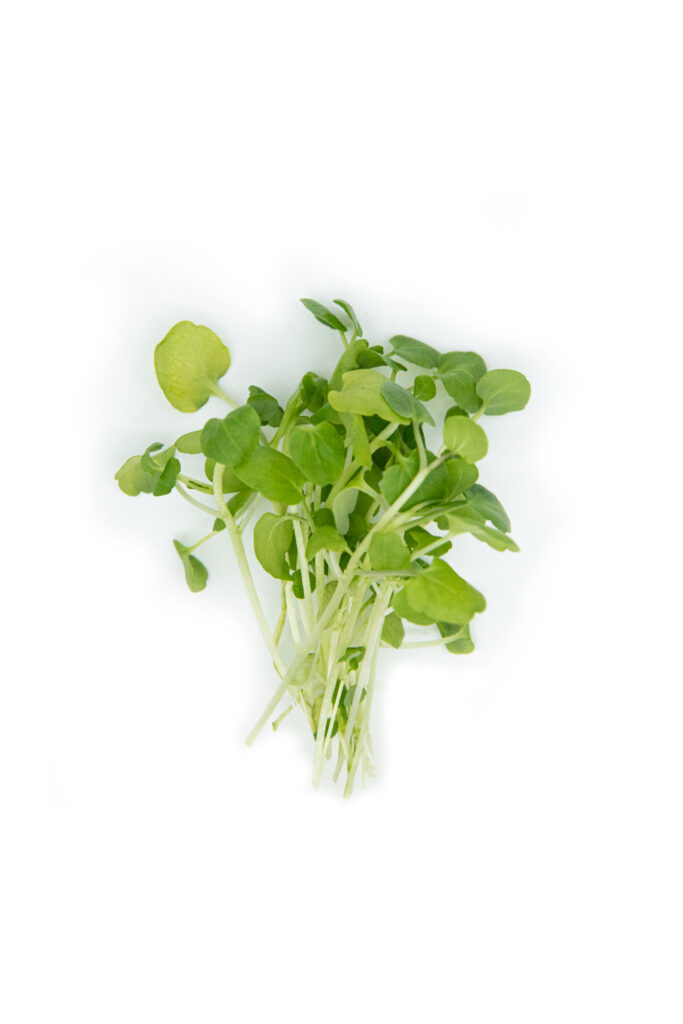 Water cress