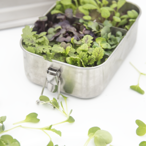 Young Musterd Mix - INOX