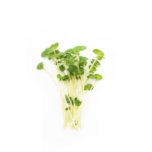 Broccoli Cress - Microgreens