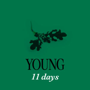 Red Mustard Salad 11D - Young