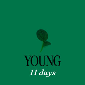 Pak Choi Rubi (kopie)