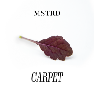 MSTRD - Red Carpet