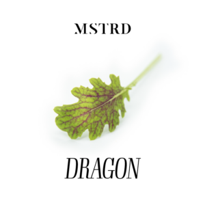 MSTRD - Red Dragon