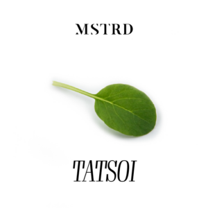 MSTRD - TATSOI