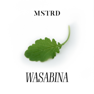 MSTRD - Wasabina