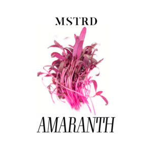 MSTRD - AMARANTH